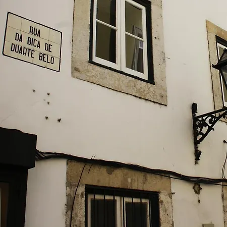 Light Of Ii * 리스본