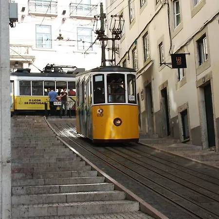 Light Of Ii 리스본